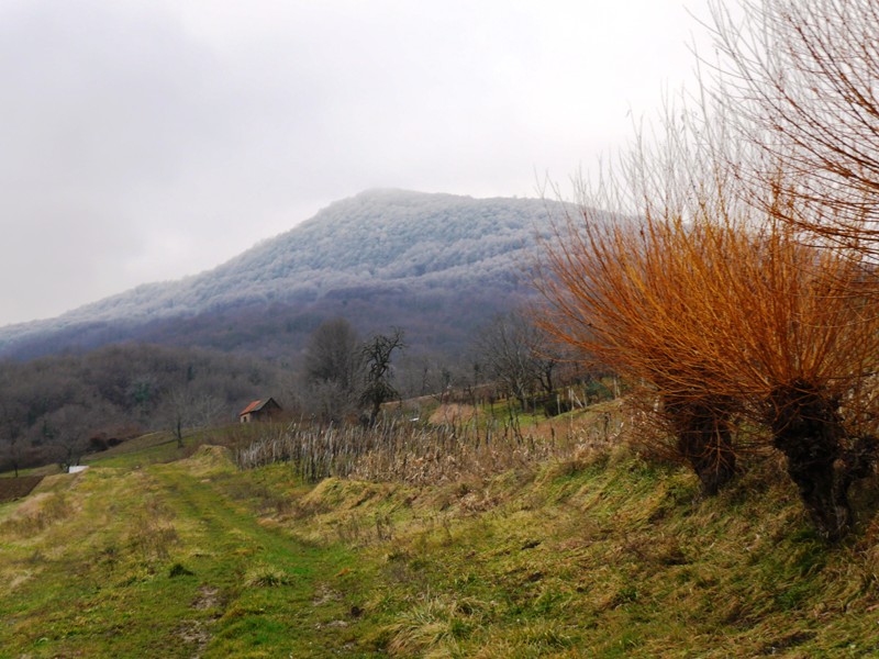 Kliknite za ulaz